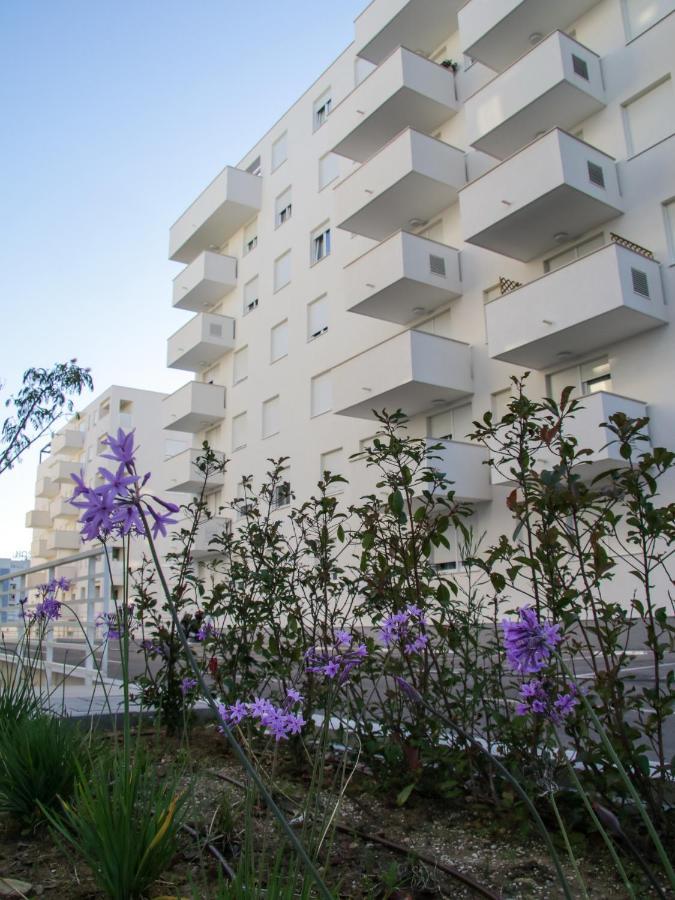 Luce Gold Apartment 扎达尔 外观 照片
