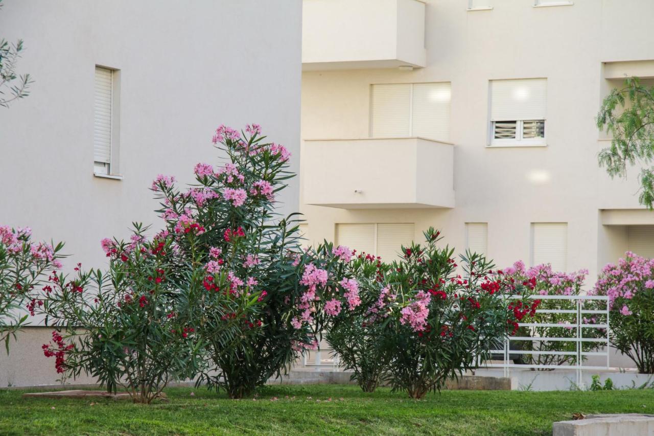 Luce Gold Apartment 扎达尔 外观 照片